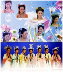 歡天喜地七仙女遇上天仙配-d820