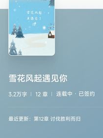雪花风起遇见你-d077