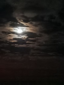 苍天何不放过我