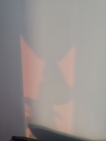 戀于網(wǎng)