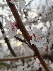 暂时想不到名字的作品集