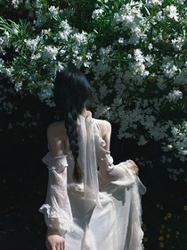 忆梨花