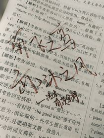 猫之茗：许得山间明月