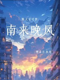 精靈寶可夢：南來晚風(fēng)