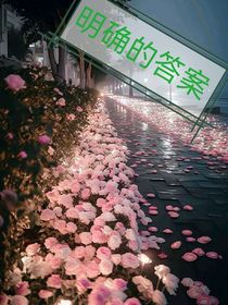 明確的答案