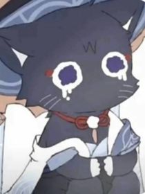 我变成了一只猫y