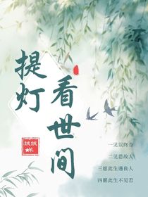 提灯看世间