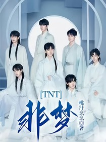 TNT：非梦