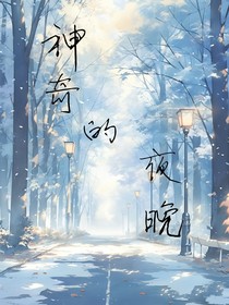 神奇的夜晚