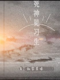 死神见习生