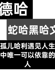 德哈：黑哈蛇哈：孤儿哈利遇见人生中唯一可以依靠的人