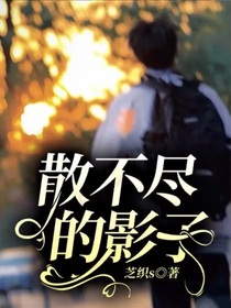 散不盡的影子