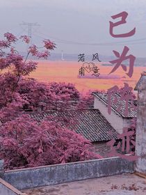 已為陳跡