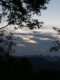 隨筆：文