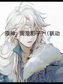 原神：我是影子（联动版