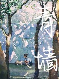 青墻1