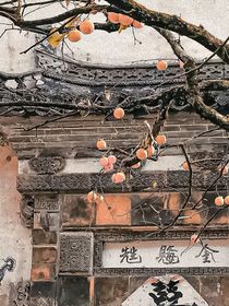 奔跑热意