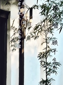 撞南墙，顾平生