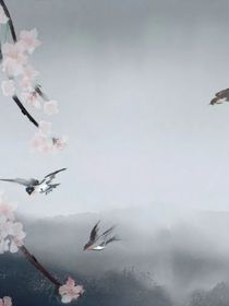 试问海棠微雨时