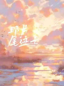 那片尾跡云