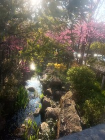 春之景