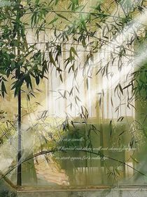 真假……