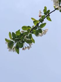 已逝的時(shí)間