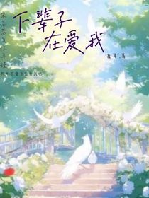 可以下辈子在爱我