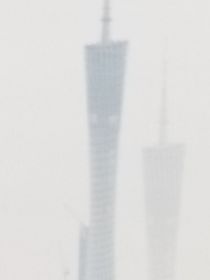 梧桐暗恋