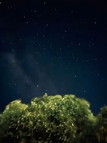 一眼就认定了你