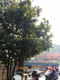 因为我喜欢