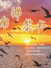 南锦黎书