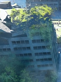 向心之旅