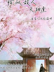 恰似故人又相逢