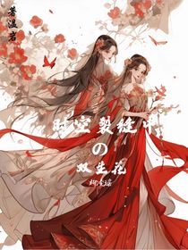 时空裂缝中的双生花