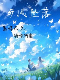 与风坠落