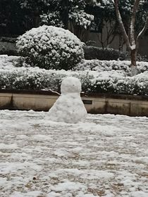 云之羽，兩個我都要