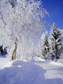 地獄之殤李景天穿越地獄-d589