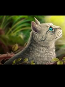 名侦探柯南穿越猫武士