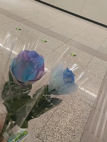 我為亡國禍水們正名
