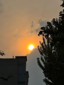 錦書緩緩行