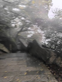 作文本2024……4