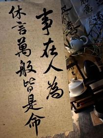 我是个神经