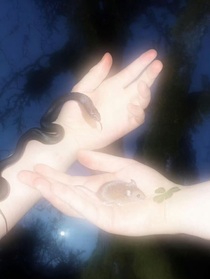 蟒夫