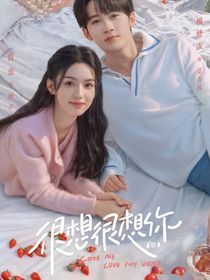 很想很想你第二部