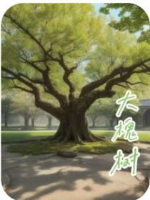 大槐树bigpagodatree