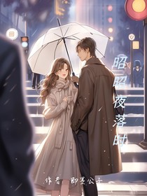 昭昭夜落时