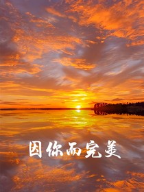 因你而完美（幻影忍者）