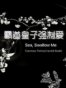 霸道皇子强制爱