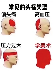 高中牲学美术日常